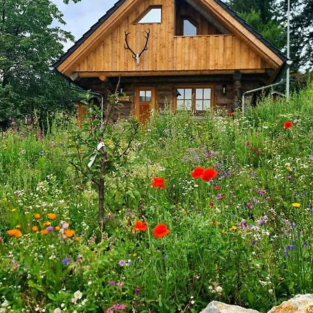Blockhaus Panhuette Villa Braunlage Exterior photo